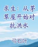 求生：从茅草屋开始对抗洪水