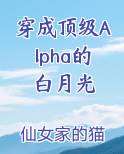 穿成顶级Alpha的白月光