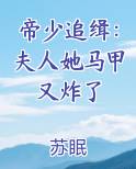 帝少追缉：夫人她马甲又炸了
