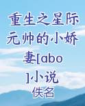 重生之星际元帅的小娇妻[abo]小说