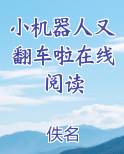 小机器人又翻车啦在线阅读