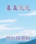暮霭沉沉电子书