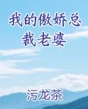 我的傲娇总裁老婆