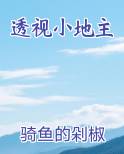 透视小地主